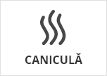 canicula-icon.png