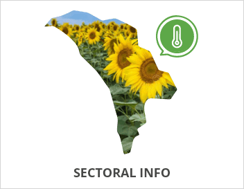 sectoral-info.png